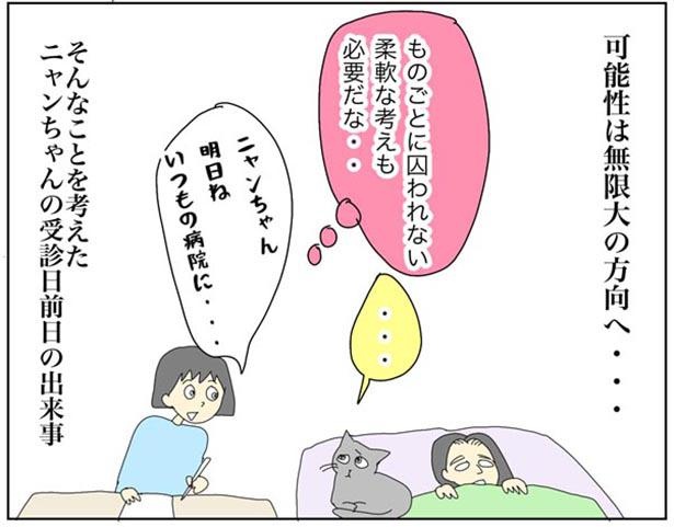 「猫にも説明を」20/20