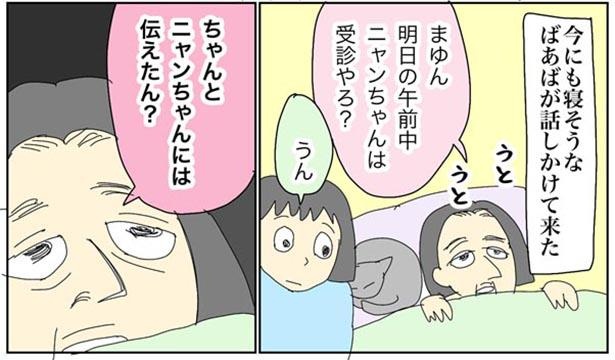 「猫にも説明を」より