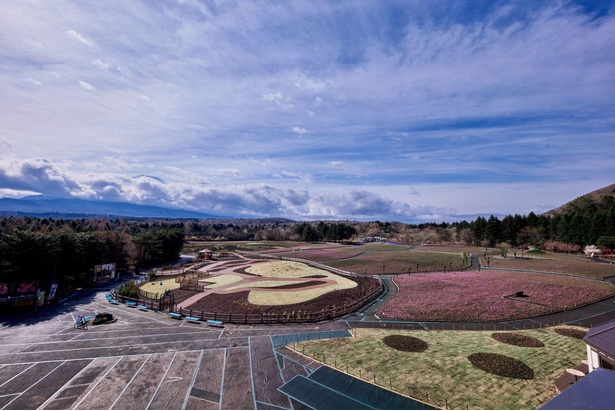 展望塔は、誰にも邪魔されずに庭園と富士山を見渡せるとっておきスポット！
