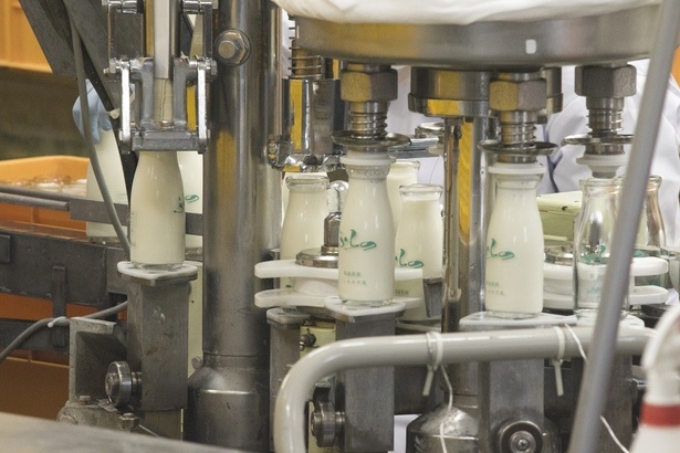 富良野市の郊外にある「ふらの農産公社」。屋内には小さな工場があり、そこで瓶詰めまでほとんど手作業で牛乳を生産しています。