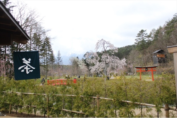 園内には、日本庭園をベースに美しい景観がたくさん