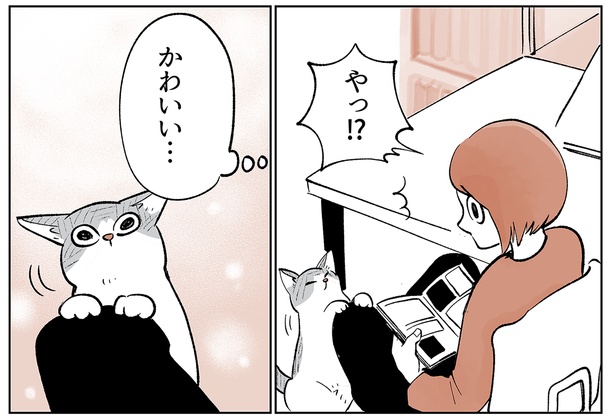 「こねこのドレイ7」3/19