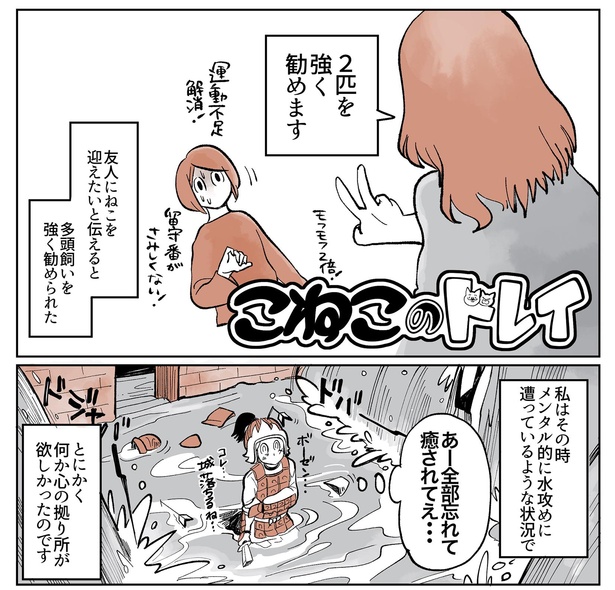 「こねこのドレイ3」1/20