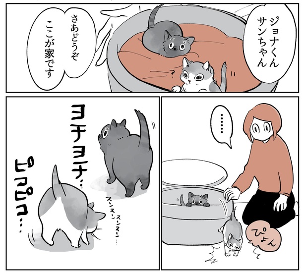 「こねこのドレイ3」6/20