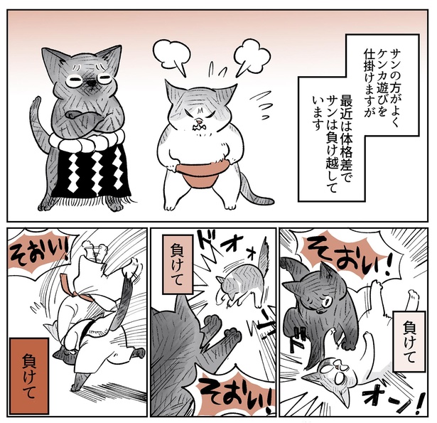 「こねこのドレイ2」5/16