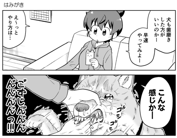 画像10 42 漫画 ご主人大好きな柴犬ポン太の 憂鬱 な表情に 爆笑 が止まらない 可愛い 癒やされる 愛犬好きだけでなく笑える新感覚4コマ ウォーカープラス