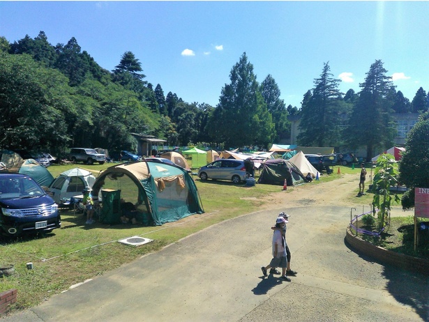 週末や夏休み、イベント期間は大勢のキャンプ客で賑わう