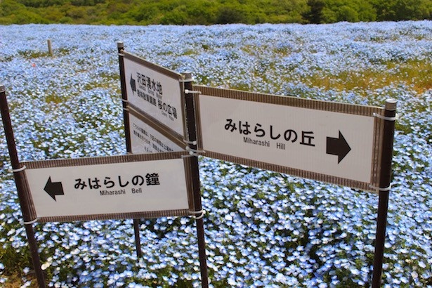 いよいよ丘を登ろう！