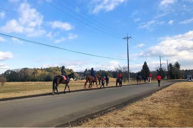 【千葉・乗馬】馬と一緒にお散歩ができる！のんびり外乗散歩40分コース