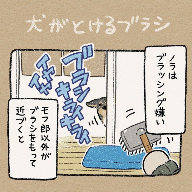 【漫画】「犬がとけるブラシ」を読む