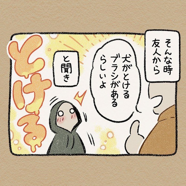 「犬がとけるブラシ」3