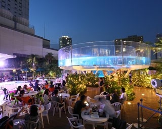週末限定！“缶つま”＆お酒と共にサンシャイン水族館を満喫
