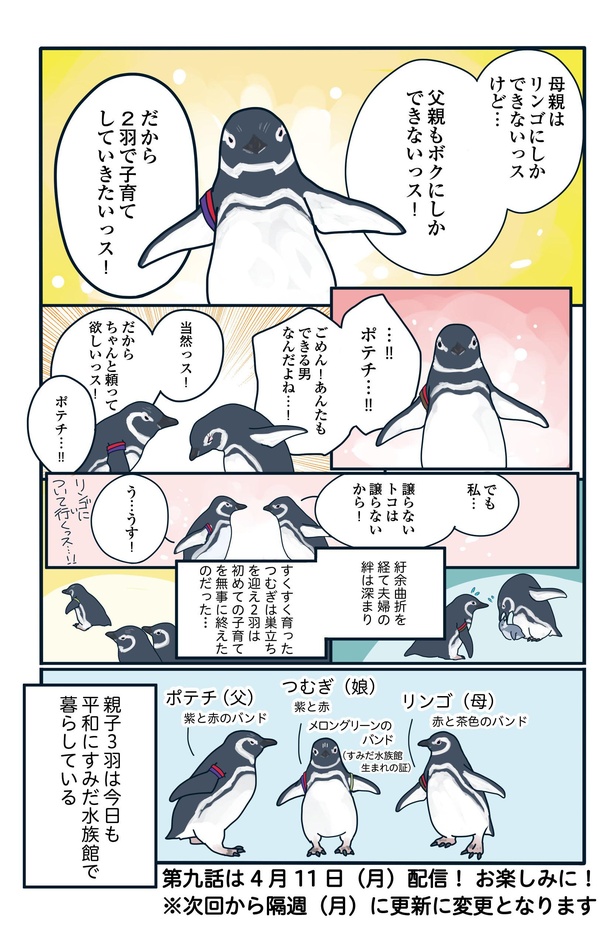 妊婦ペンギンの奮闘「下町ペンギン物語」第八話(4/4）