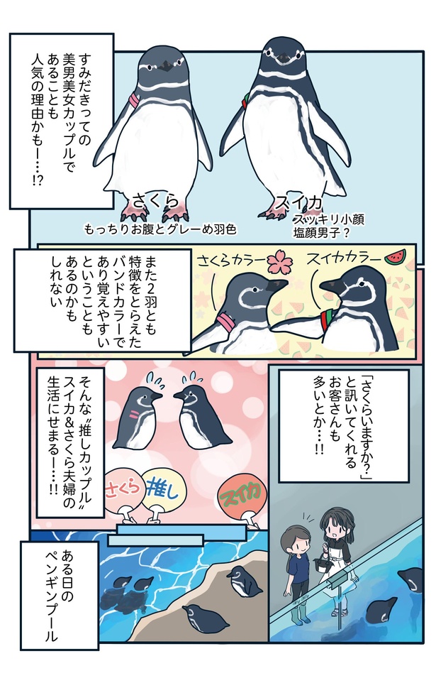 支持率No.1カップルが愛おしい「下町ペンギン物語」第十二話(2/6)