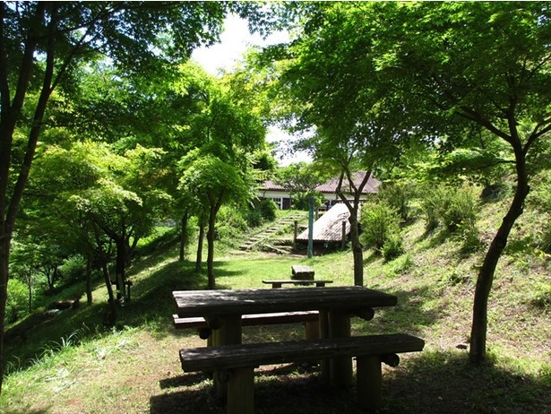 足柄森林公園は広場やキャンプ場を備えた広々とした公園