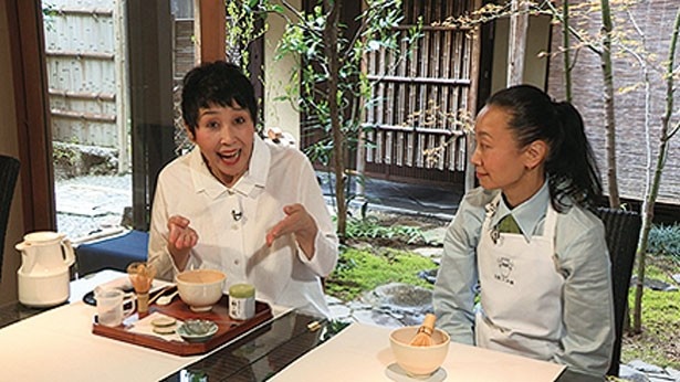 今号では、マッハ文朱が抹茶の点て方を習う