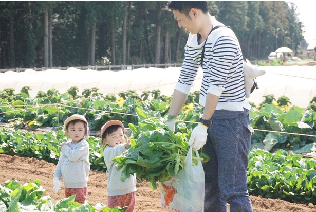 子供から大人まで、未経験者でも気軽に農業体験ができる