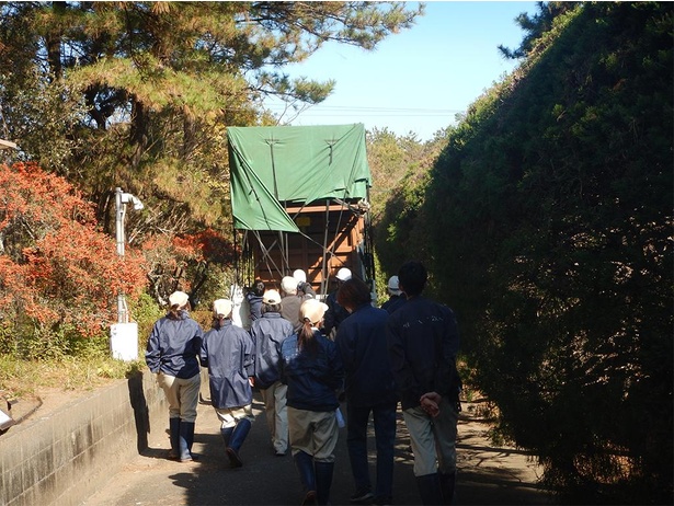 熊本市動植物園に嫁ぐコナツを見送る職員たち。マサイキリンの未来に命をつなぐため、祈るような気持ちで送り出す