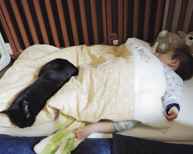 仔猫と赤ちゃんの共同生活がスタート！お昼寝に寄り添う姿が超かわいい