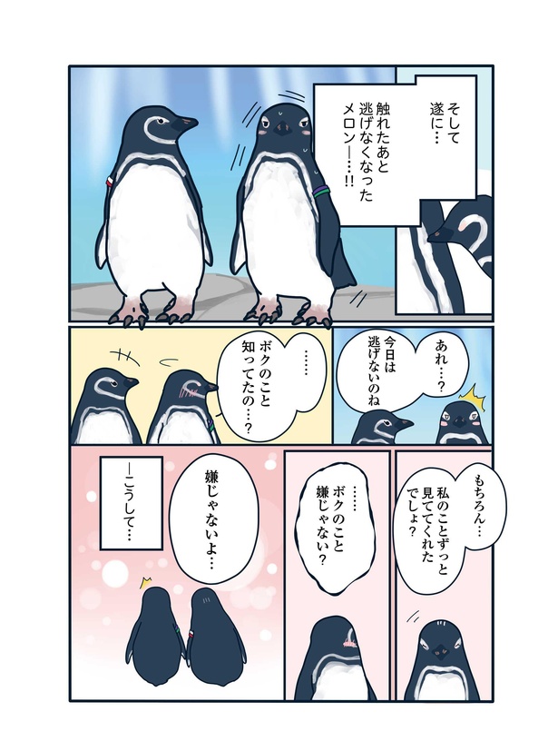超奥手なペンギンの独特なアプローチ法「下町ペンギン物語」第六話(3/4)