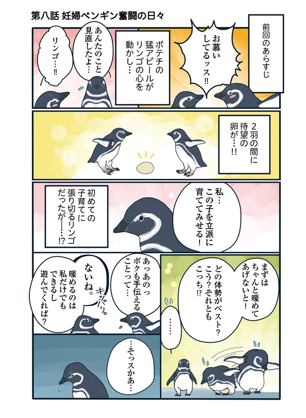 妊婦ペンギンの奮闘「下町ペンギン物語」第八話(1/4）