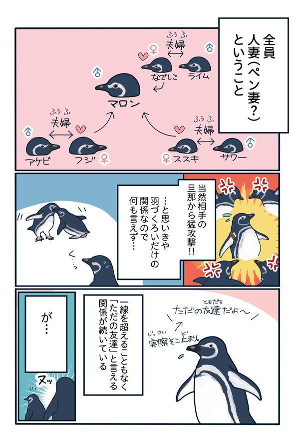 爆モテペンギン・マロン参上！「下町ペンギン物語」第十三話(3/4)