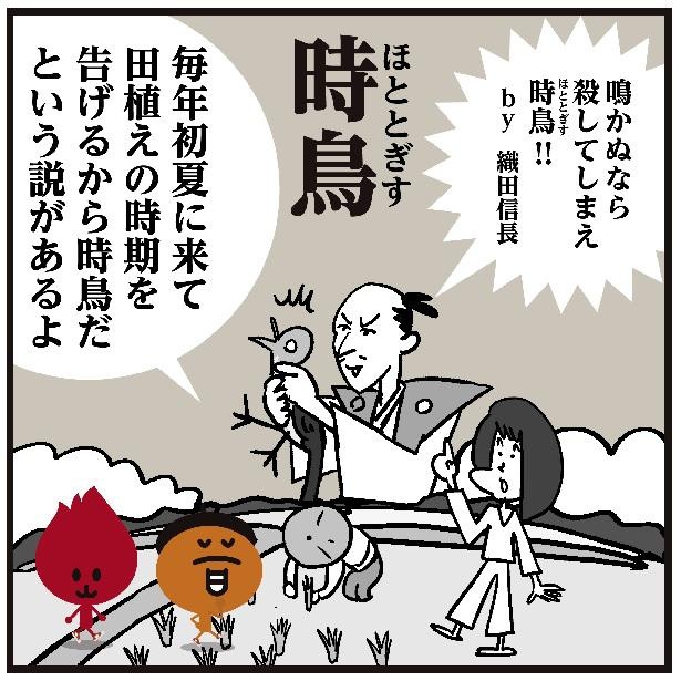 画像5 5 ハト ではありません 時を告げる鳥と書いて 時鳥 信長 秀吉 家康の性格を詠んだ句に登場するあの鳥の名は ウォーカープラス