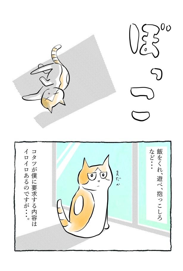 ネコ様の言いなり】まるで“悪魔の契約”!? 愛猫と過ごす“憧れの