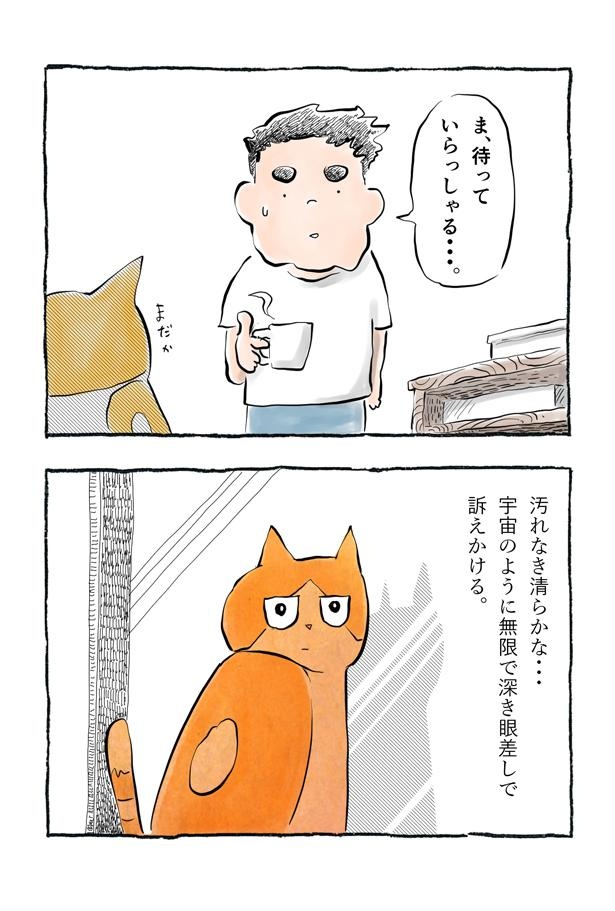 ネコ様の言いなり】まるで“悪魔の契約”!? 愛猫と過ごす“憧れの時間”と引き換えに、思わぬ苦労が襲う！｜ウォーカープラス