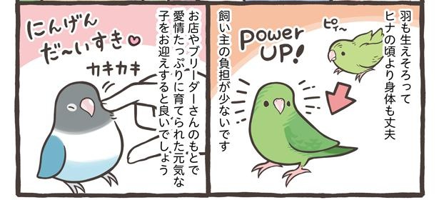 「鳥さんをお迎えするタイミング」9/15
