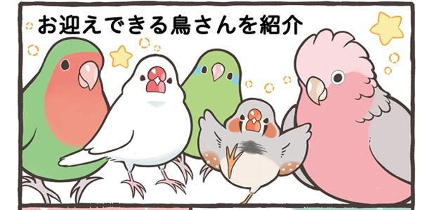 「お迎えできる鳥さんを紹介」1/24