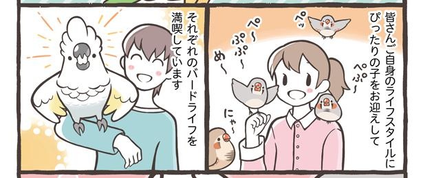 「お迎えできる鳥さんを紹介」23/24