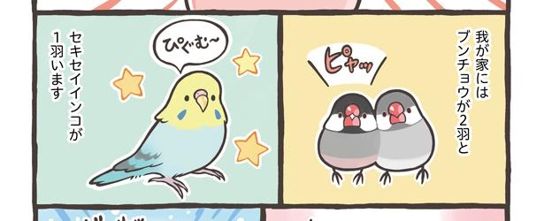 「トリ扱い説明書」2/15