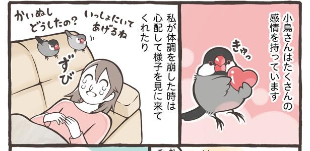 「トリ扱い説明書」13/15