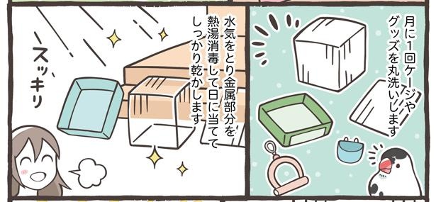 「小鳥の1日と毎日のお世話」17/18