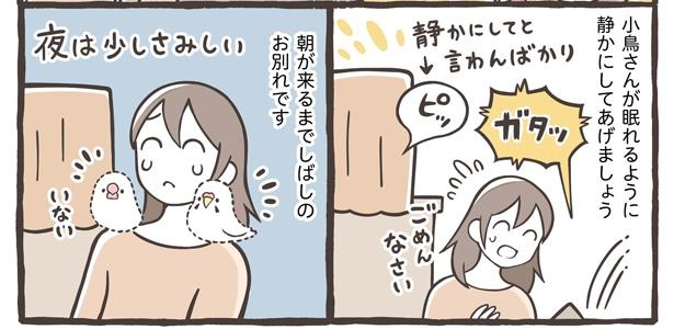 「小鳥の1日と毎日のお世話」12/18