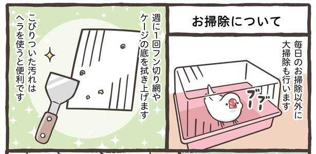 「小鳥の1日と毎日のお世話」16/18
