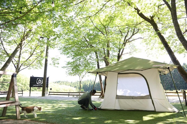 「楽々セットM」のテント。簡単に設営できるが、もちろん無料サポートもOK