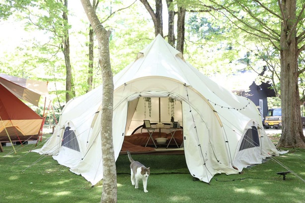 人気のアウトドアブランド「Snow Peak(スノーピーク)」のテントに宿泊できる「ラグジュアリースタイル」
