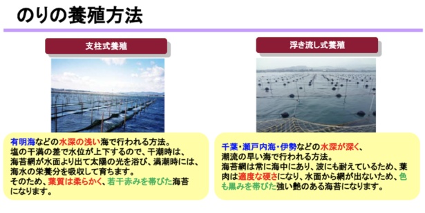海苔の養殖方法は、大きく2種類に分かれているのだ