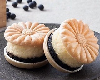 京丹後の新みやげ！最中でサンドした黒豆チーズケーキが大人気