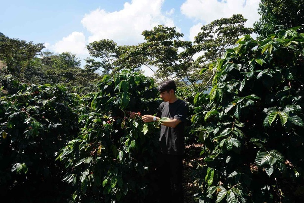 「農園を訪問したことで、コーヒー愛は深まった」と宮本さん