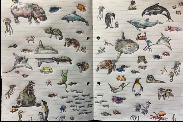 海洋生物が中心に描かれた見開き