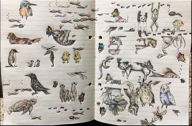 罫線に合わせて体を一部描かないことで、あたかも罫線の向こう側に動物がいるように見える