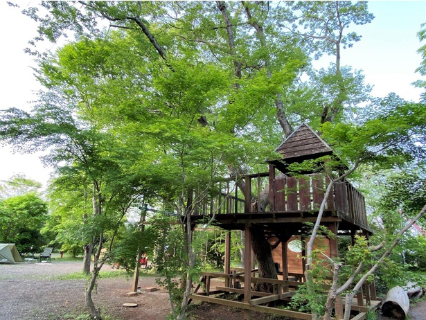 Dサイトにも、木の上に作られた見晴らし台やブランコなどの遊び場が。見晴らし台は木登りができるようになっている