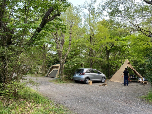 オートキャンプサイトは木々が目隠しとなり、おこもり感のある空間。車を横付けしてテントを張れば、快適な基地に！