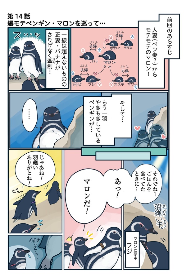 爆モテペンギン・マロンを巡って…「下町ペンギン物語」第十四話(1/4)