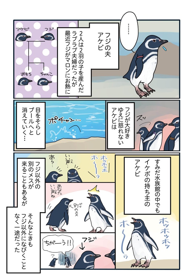 爆モテペンギン・マロンを巡って…「下町ペンギン物語」第十四話(2/4)