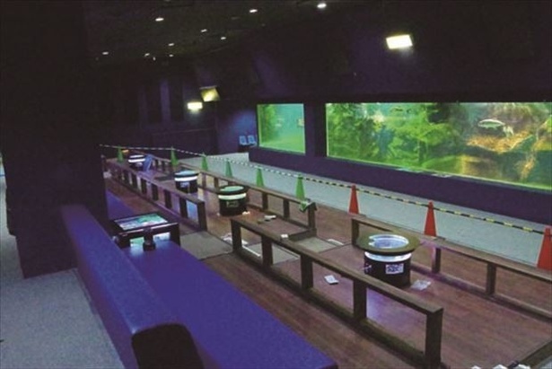 座席が並ぶ海底ごろりんホール