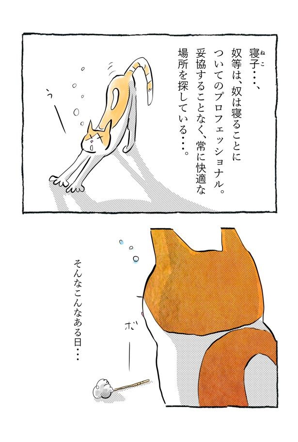 kotatsu091_03